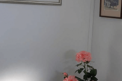 Toilet-flowers