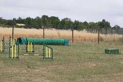 IMG-20220810-WA0001