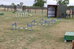 IMG-20220810-WA0002