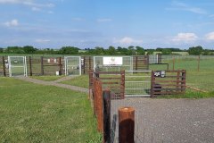 dog-agility-jumps-3